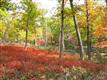 0 Route 52, Cragsmoor, NY 12420