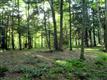 45  Corriedale Lane , Cottekill, NY