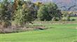 8 Lot Misty Ridge Subdivision, Gardiner, NY 12525