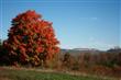 Lot 2 Misty Ridge Road, Gardiner, NY 12525