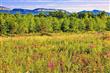 Lot  3 Misty Ridge Road , Gardiner, NY