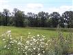 Lot  4 Misty Ridge Road , Gardiner, NY