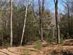 397 Bostock Road, Shokan, NY 12481