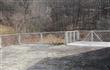 272 New Salem Rd, Kingston, NY 12401