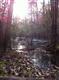 LOT 6 PINE LANE, Saugerties, NY 12477