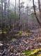 LOT 6 PINE LANE, Saugerties, NY 12477
