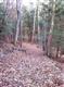 LOT 6 PINE LANE, Saugerties, NY 12477