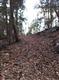 LOT 6 PINE LANE, Saugerties, NY 12477