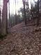 LOT 6 PINE LANE, Saugerties, NY 12477