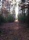 LOT 1 PINE LANE, Saugerties, NY 12477