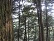 TBD Route 28, Shandaken, NY 12480