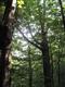TBD Route 28, Shandaken, NY 12480
