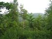 TBD Route 28, Shandaken, NY 12480