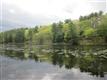 6 Beaver Lake Rd, Olivebridge, NY 12461