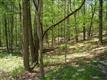 31 Pierce Lane, New Paltz, NY 12561