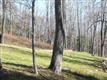 622 Old Greenfield Road, Greenfield Park, NY 12435