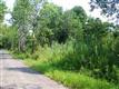 Lot 20,21 Rose  Drive, Kerhonkson, NY 12446