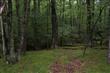 LOT 2 Cedar Drive, Kerhonkson, NY 12446