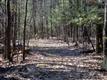 LOT 2 Cedar Drive, Kerhonkson, NY 12446
