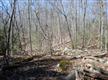 LOT 2 Cedar Drive, Kerhonkson, NY 12446
