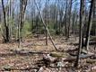 LOT 2 Cedar Drive, Kerhonkson, NY 12446