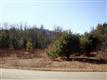Lot 3 Cedar  Drive, Kerhonkson, NY 12446