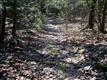 Lot 3 Cedar  Drive, Kerhonkson, NY 12446