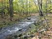 TBD Cedar Drive, Kerhonkson, NY 12446