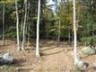 TBD Cedar Drive, Kerhonkson, NY 12446