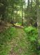 TBD Cedar Drive, Kerhonkson, NY 12446