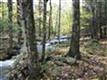 TBD Cedar Drive, Kerhonkson, NY 12446