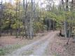 TBD Cedar Drive, Kerhonkson, NY 12446