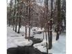 TBD Cedar Drive, Kerhonkson, NY 12446