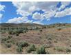 813 - Other Nevada