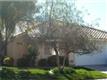 4701  Carmar Dr , 204 - East Las Vegas, NV
