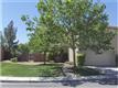 11129  Summer Squash Ln , 404 - Northwest Las Vegas, NV