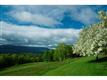 415 Uphill Lane, Dorset, VT 05251