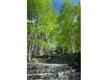 415 Uphill Lane, Dorset, VT 05251