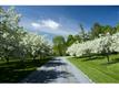 415 Uphill Lane, Dorset, VT 05251