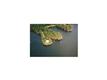 822 Braeloch Road, Colchester, VT 05446