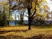 451  Appletree Point Road 