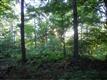 10  Steeplebush Rd , Jericho, VT