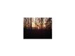 10 A  Steeplebush Rd , Jericho, VT