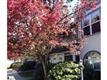 3  Northshore Drive , Burlington, VT