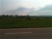 Swanton
