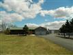 Swanton