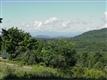 C  Witness Tree Hill , Hinesburg, VT