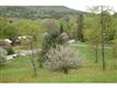 31  Beartown , Underhill, VT