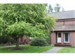 20  Greenfield Road , Essex, VT
