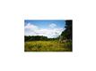 3  Apple Blossom Lane , Westford, VT